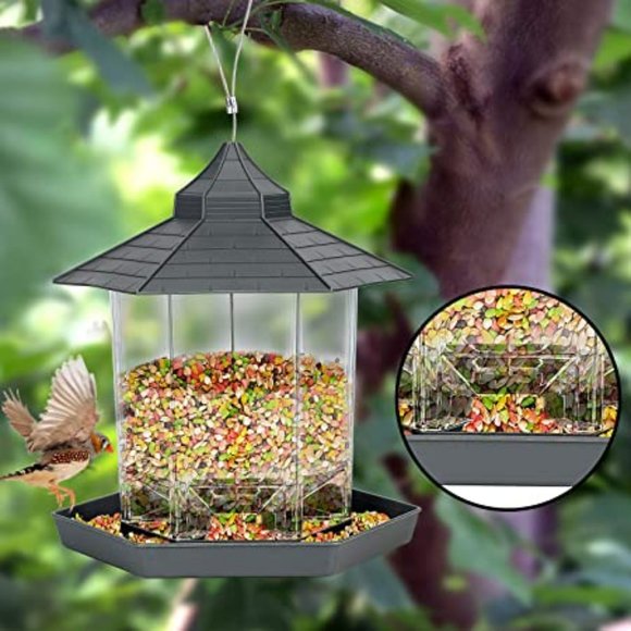 Bird Feeders for Outside Hanging